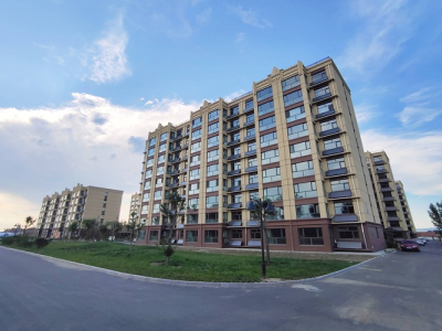 Wall mounted flat plate solar collector